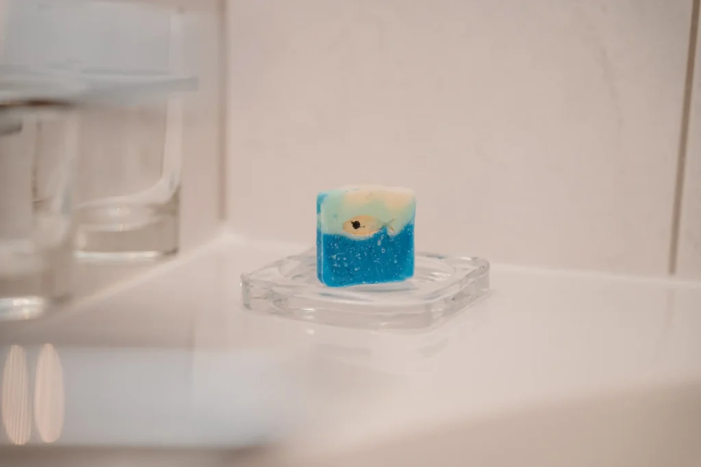 optim-Lipeter_Bergheimat_Winter_web (51)